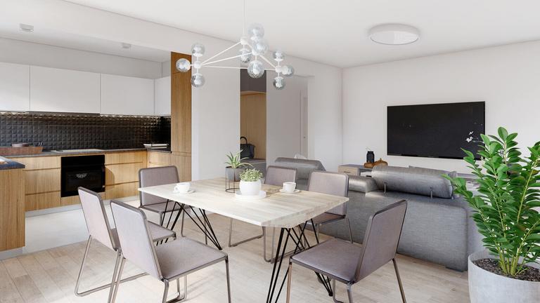 Family 78 - Danwood Family_interior3.jpg